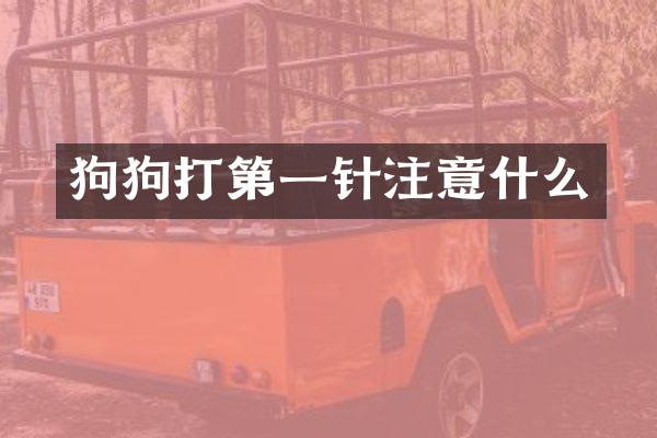 狗狗打第一针注意什么