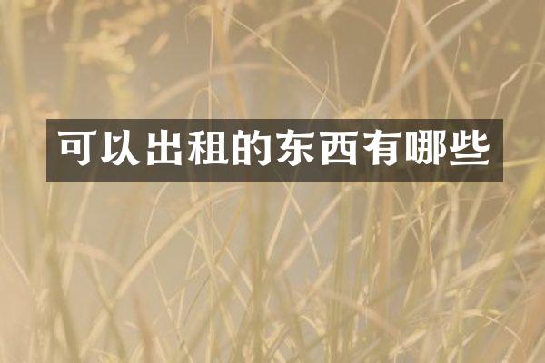 可以出租的东西有哪些