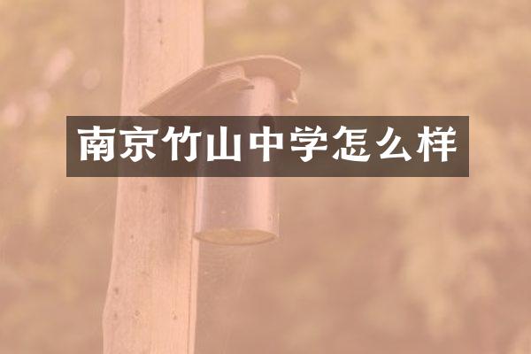 南京竹山中学怎么样