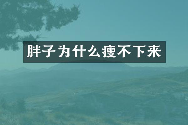 胖子为什么瘦不下来