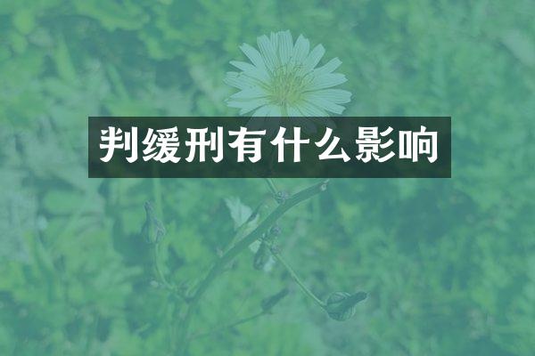 判缓刑有什么影响