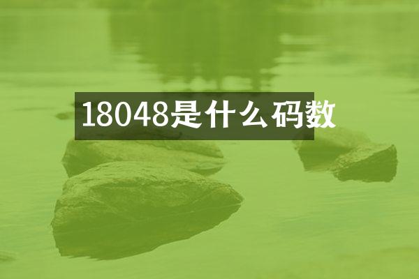 18048是什么码数
