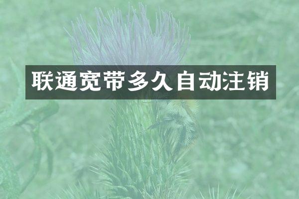 联通宽带多久自动注销