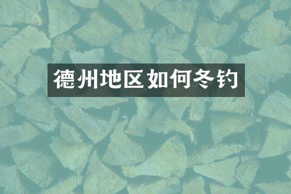 德州地区如何冬钓