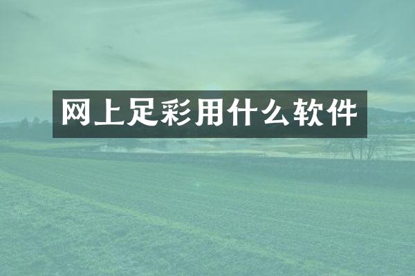 网上用什么软件