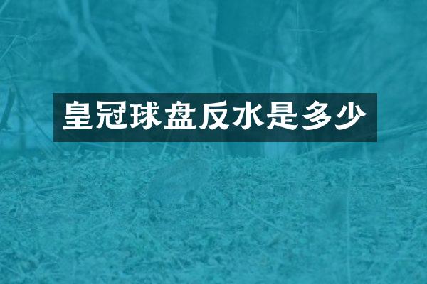 皇冠球盘反水是多少