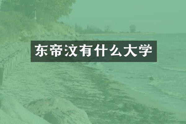 东帝汶有什么大学