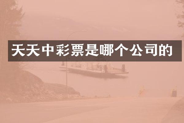 天天票是哪个公司的