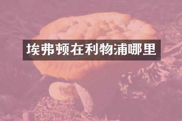 埃弗顿在利物浦哪里