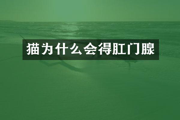 猫为什么会得肛门腺
