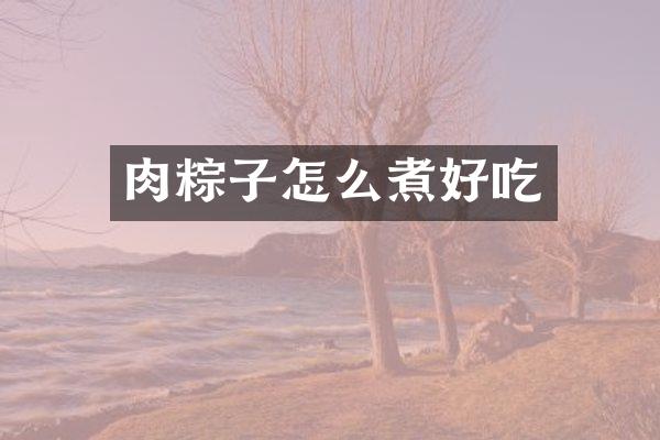 肉粽子怎么煮好吃