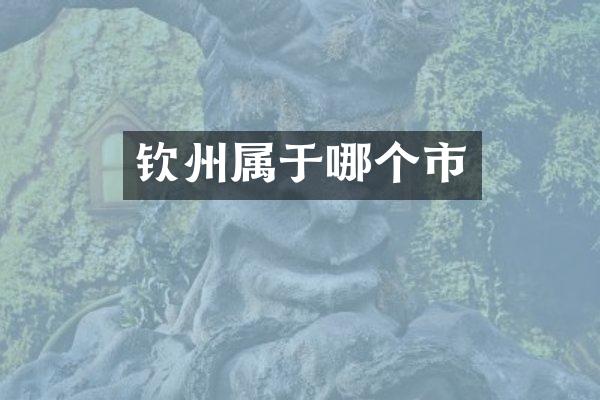 钦州属于哪个市