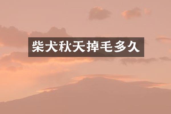柴犬秋天掉毛多久