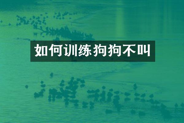 如何训练狗狗不叫