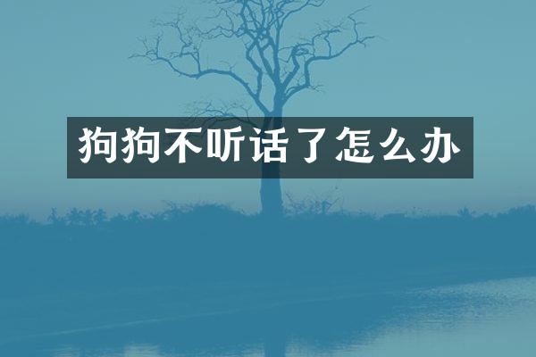 狗狗不听话了怎么办