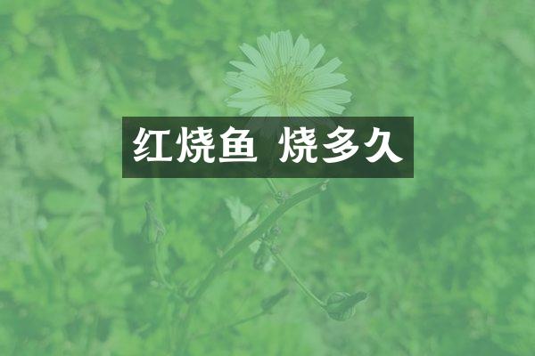 红烧鱼 烧多久