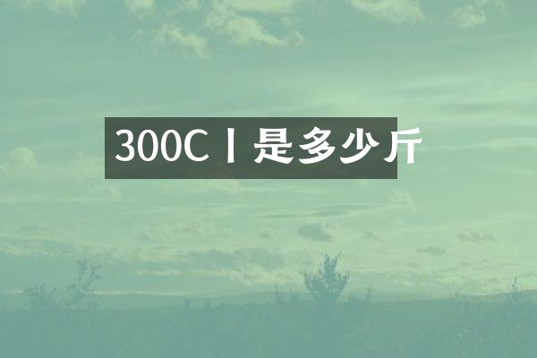 300C丨是多少斤