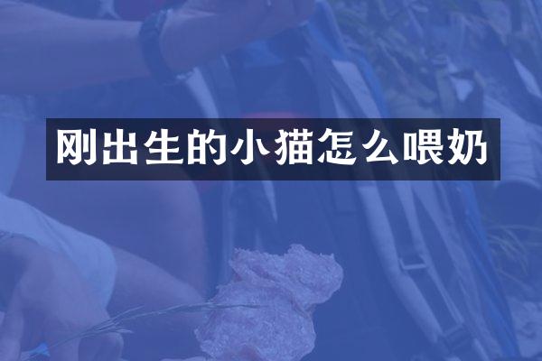 刚出生的小猫怎么喂奶