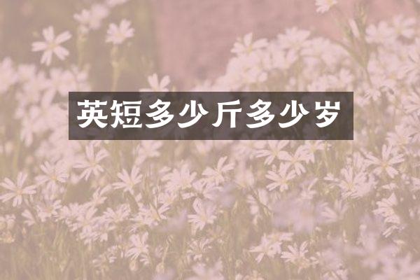 英短多少斤