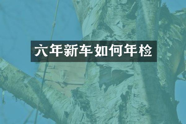 六年新车如何年检