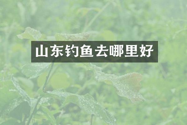 山东钓鱼去哪里好