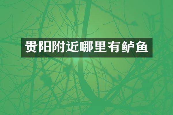 贵阳附近哪里有鲈鱼