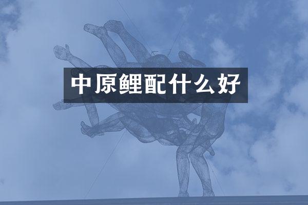 中原鲤配什么好