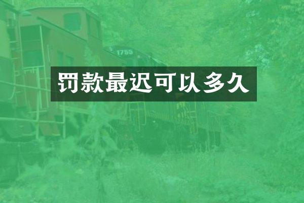 罚款最迟可以多久