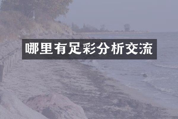 哪里有分析交流