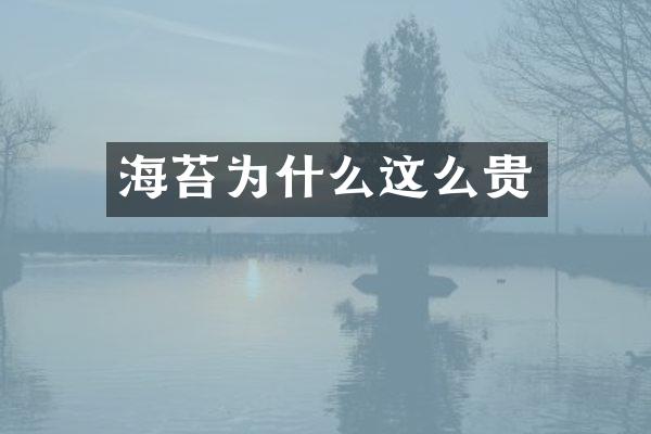 海苔为什么这么贵