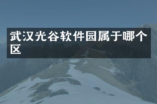 武汉光谷软件园属于哪个区
