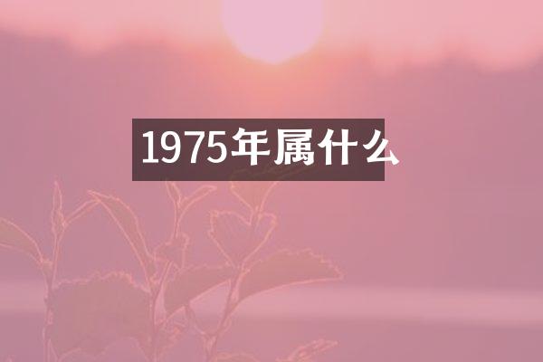 1975年