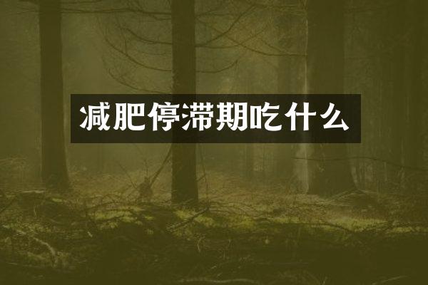 减肥停滞期吃什么