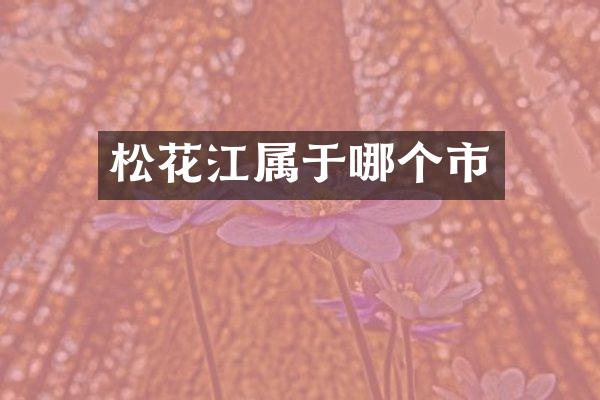 松花江属于哪个市