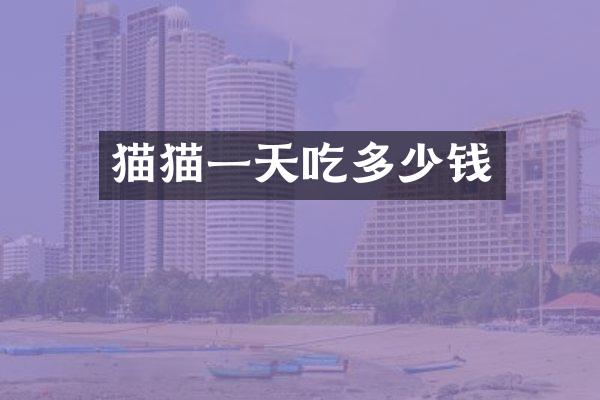猫猫一天吃多少钱