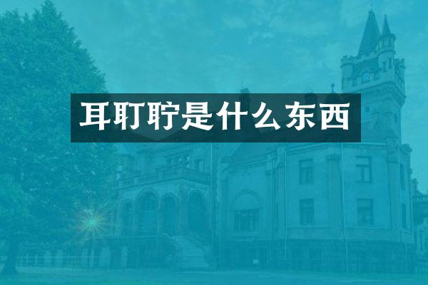 耳耵聍是什么东西