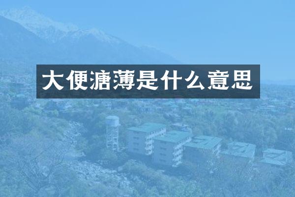 大便溏薄是什么意思