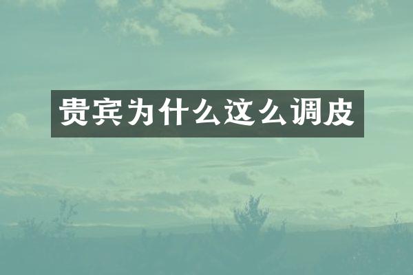 贵宾为什么这么调皮