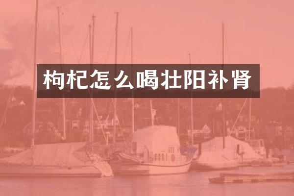 枸杞怎么喝壮阳补肾