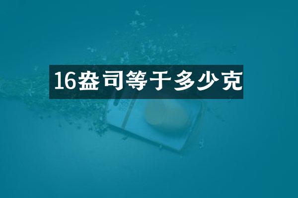16等于多少克