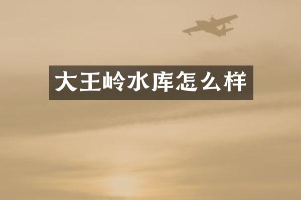 大王岭水库怎么样
