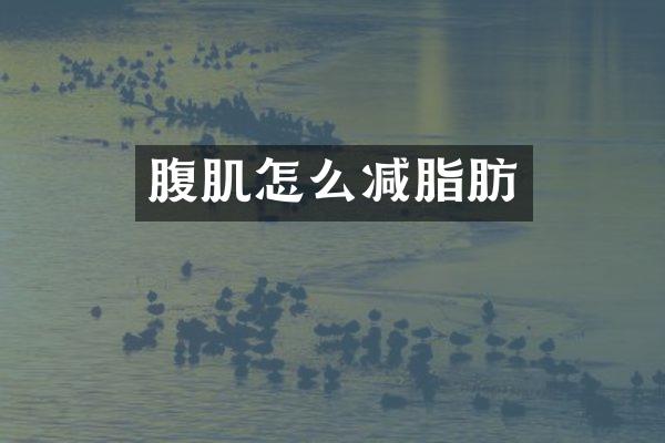 腹肌怎么减脂肪
