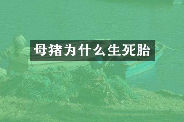 母猪为什么生死胎