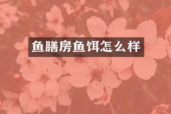 鱼膳房鱼饵怎么样