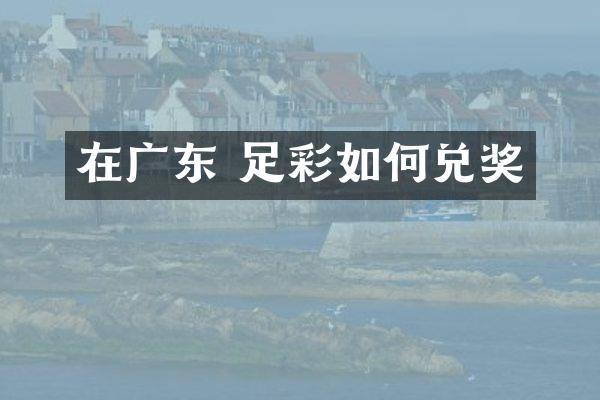 在广东 足彩如何兑奖