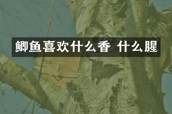 鲫鱼喜欢什么香 什么腥