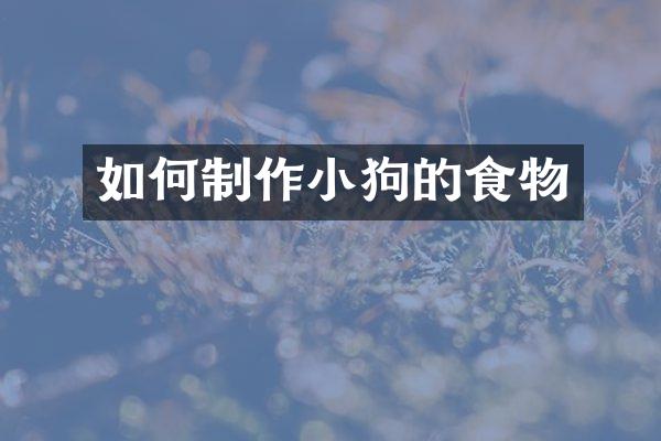 如何制作小狗的食物