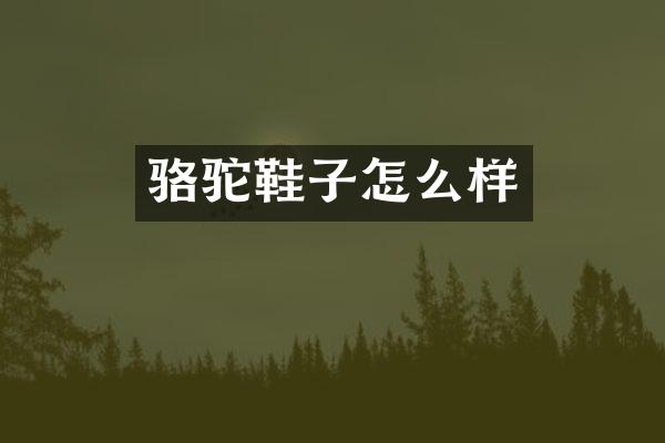 骆驼鞋子怎么样