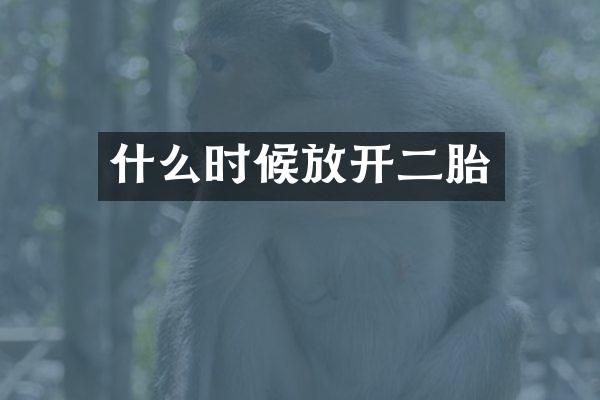 什么时候放开二胎