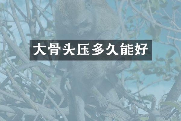 大骨头压多久能好